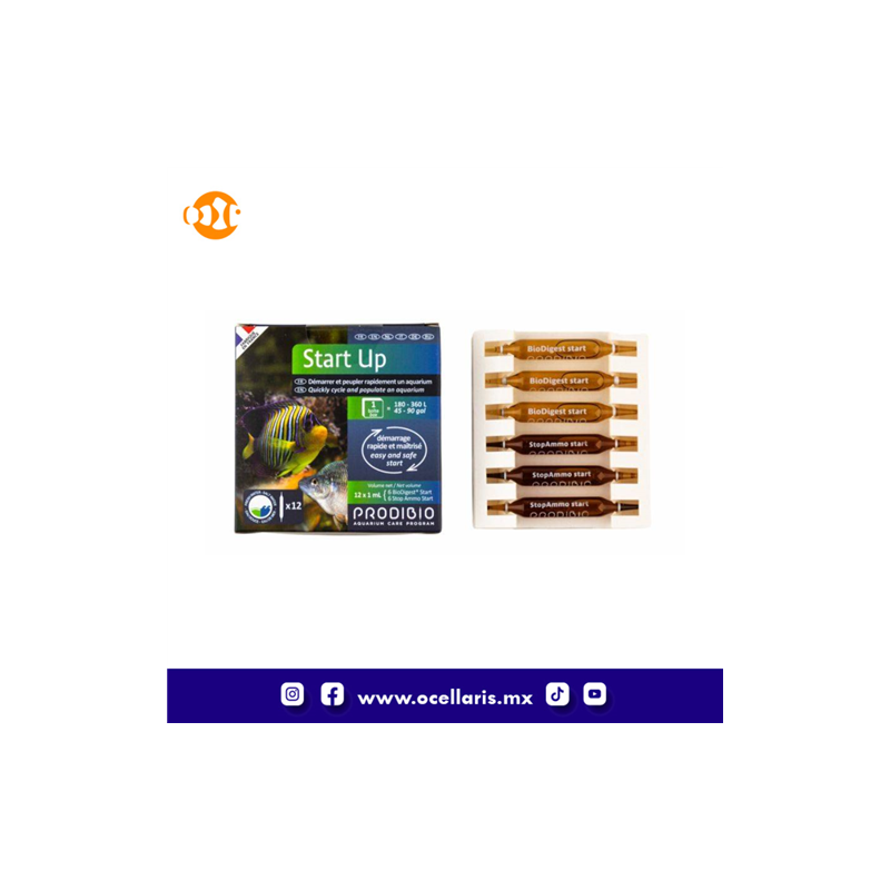 Start Up - Bacteria - 12 ampolletas
