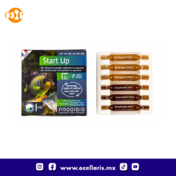 Start Up - Bacteria - 12 ampolletas