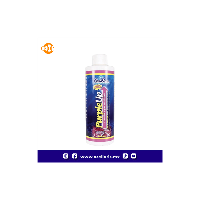 PurpleUp - Crecimiento de algas coralinas - 8 oz