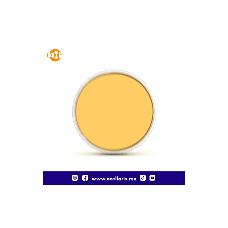 Flipper DeepSee Orange Lens Filter - 5 Pulgadas - Transparente