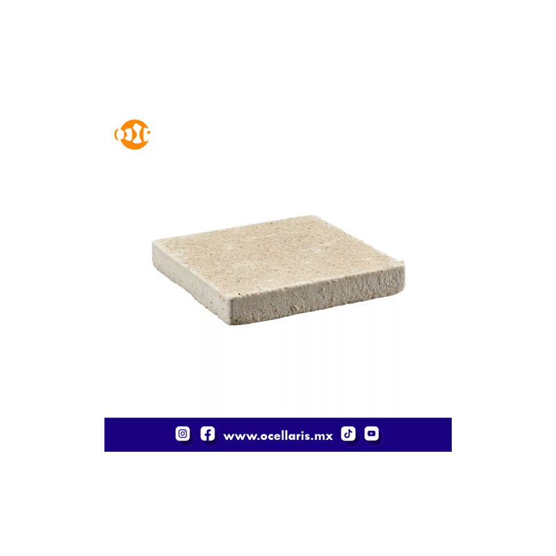 Base para propagación de 7.62 x 7.62cms - 1 pza