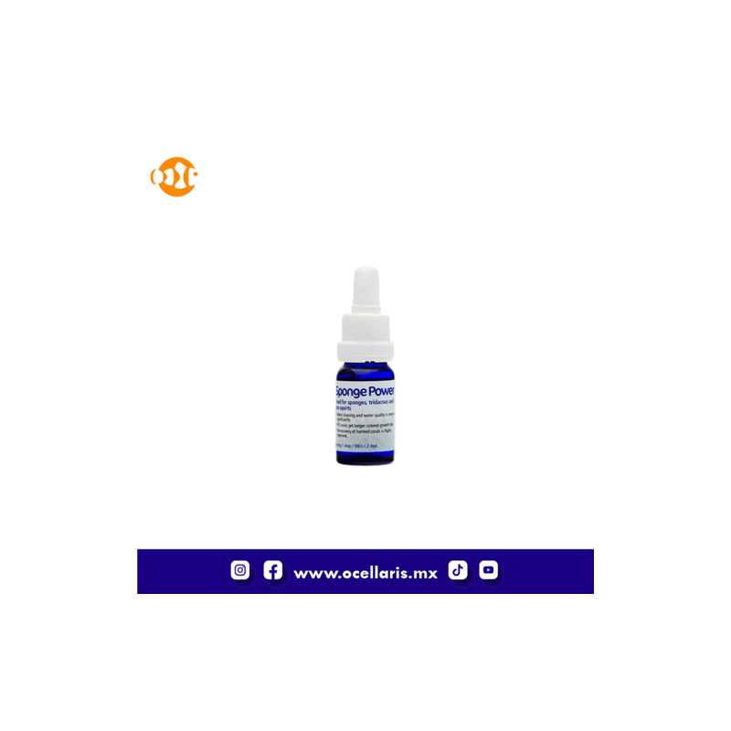 Sponge Power Concentrado - 10 ml