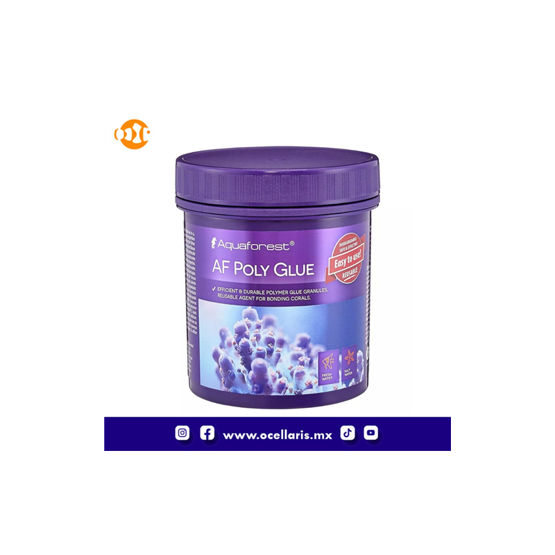 AF Poly Glue  -  Pegamento  -  250ml