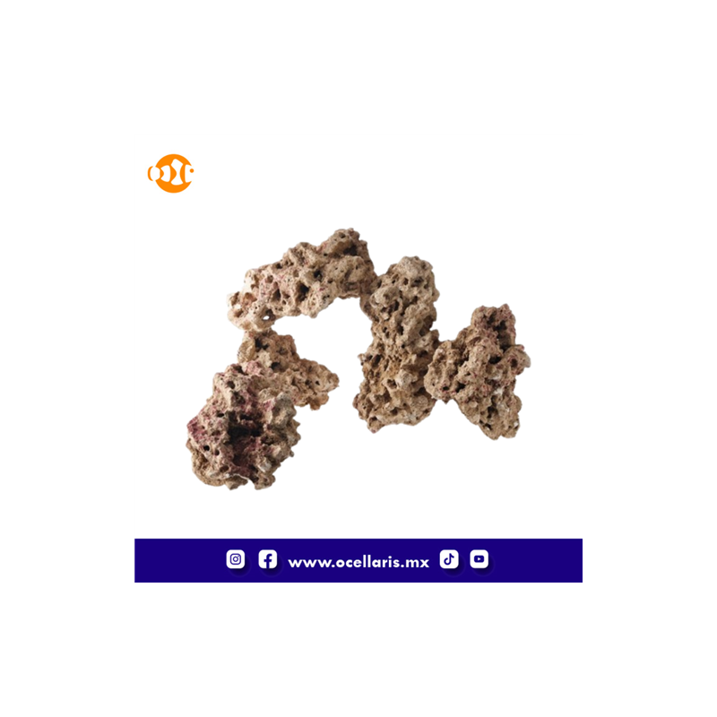 CaribSea Moani Dry Live Rock - 40 Lbs