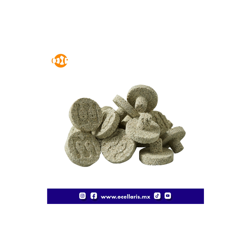 Mantis Coral Ceramic Frag - 3cm ancho x 2cm de alto