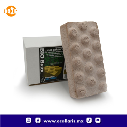 Xport BIO Brick  -  Reduce amoníaco y nitritos