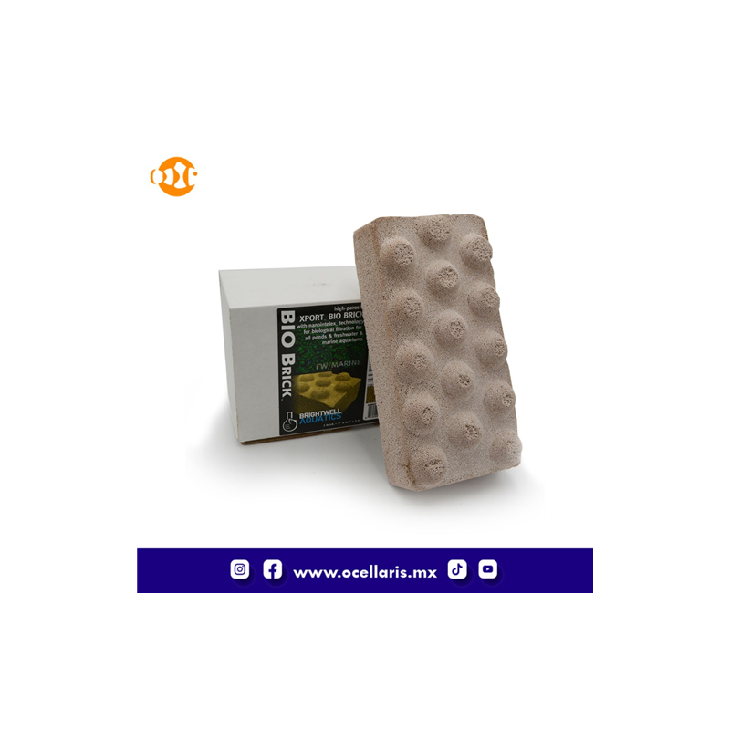 Xport BIO Brick  -  Reduce amoníaco y nitritos