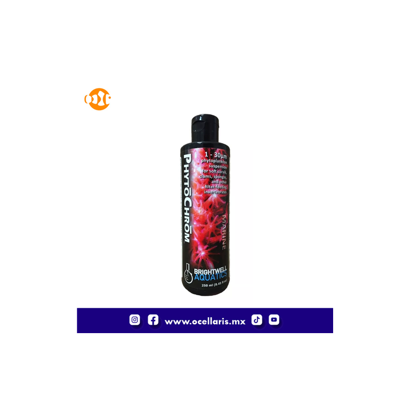PhytoChrom  -  Fitoplancton x6  -  250ml