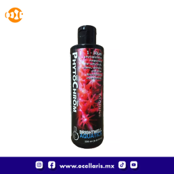PhytoChrom  -  Fitoplancton x6  -  250ml