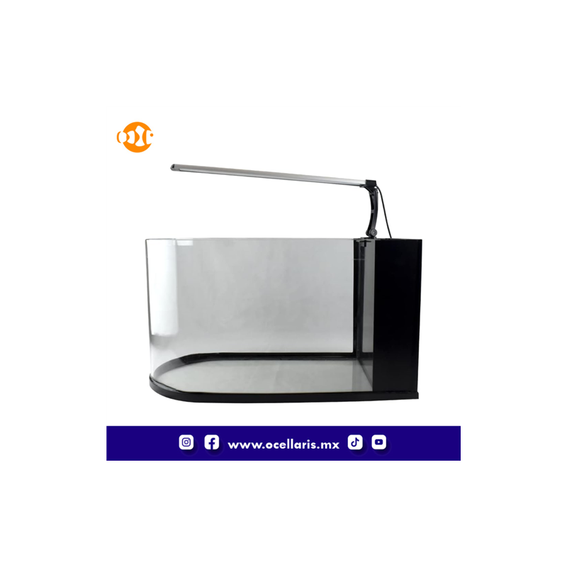 Acuario Nano Bullet - 30 Litros