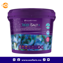 AF Reef Salt+  -  22kg