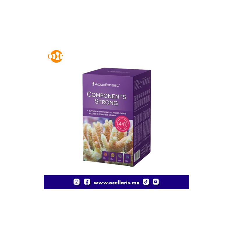 AF Components Strong  -  4 piezas de 250ml
