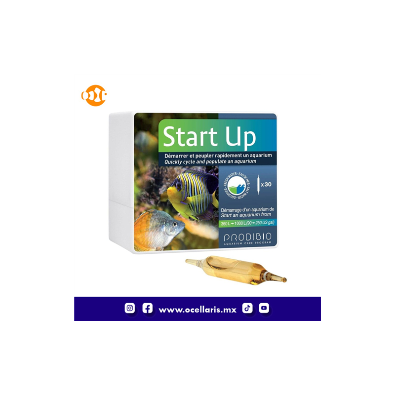 Start Up - Bacteria - 30 ampolletas