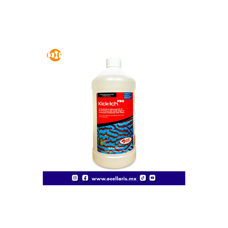 Ruby Reef Kick Ich Pro - 32 oz