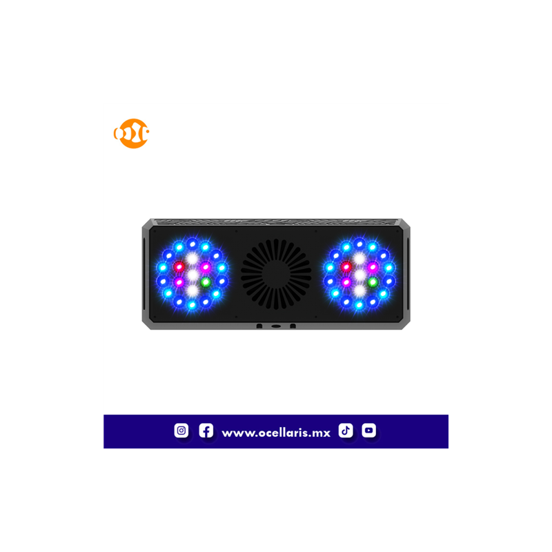 Thor X  G4 - Blue