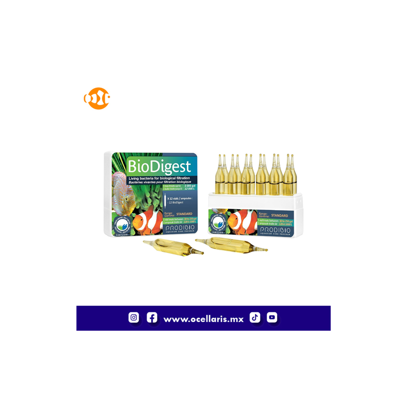 BioDigest - Bacteria - 12 ampolletas