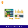 BioDigest - Bacteria - 6 ampolletas