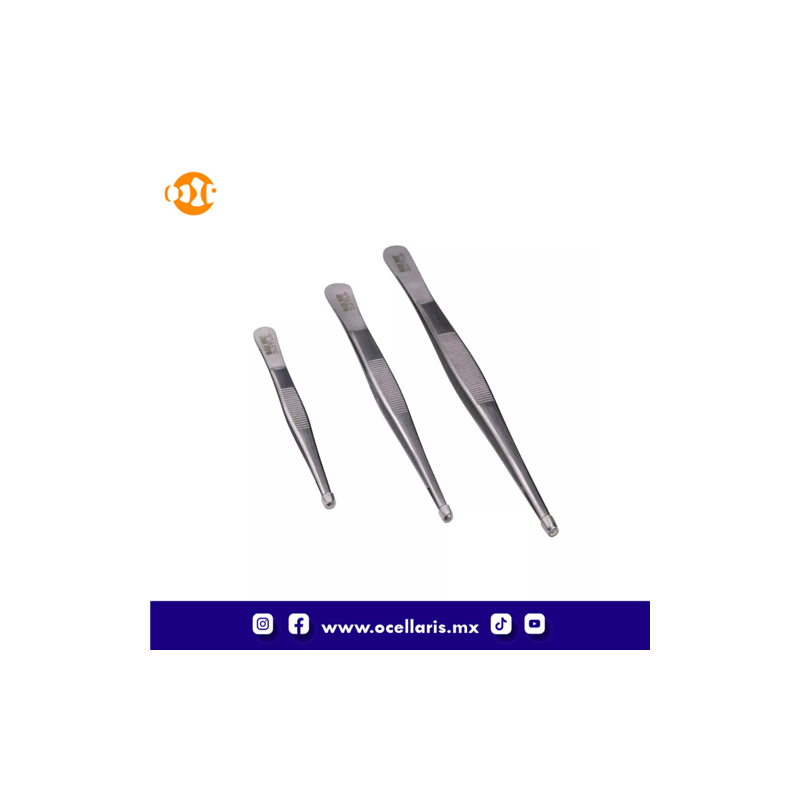 Fórceps de coral - 5.7