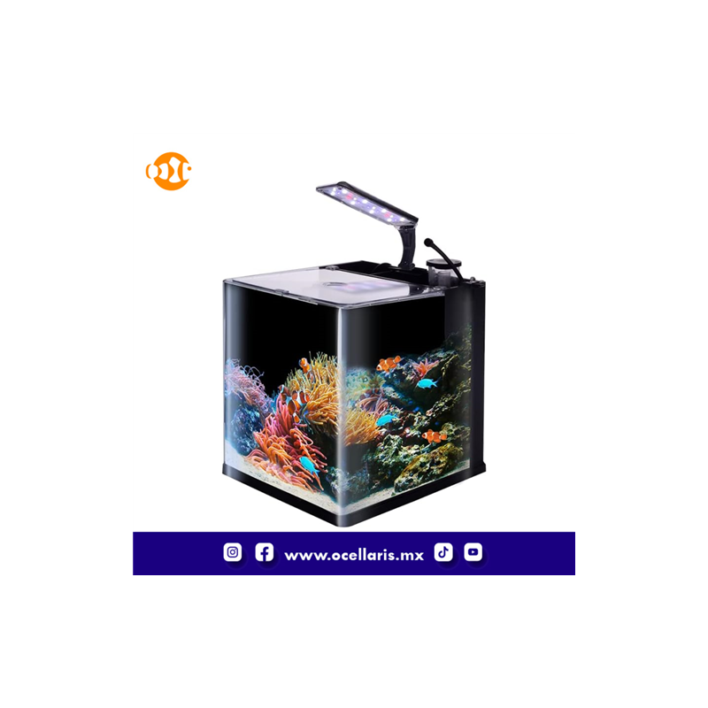 Acuario Nano Reef 18 lts