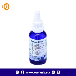 Sponge Power Concentrado - 100 ml