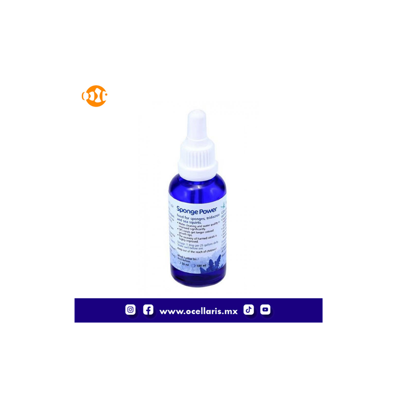 Sponge Power Concentrado - 100 ml