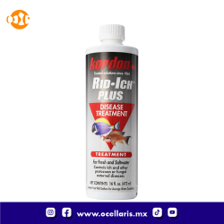 RID ICH PLUS  - 473 ml