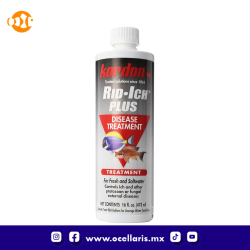 RID ICH PLUS  - 473 ml