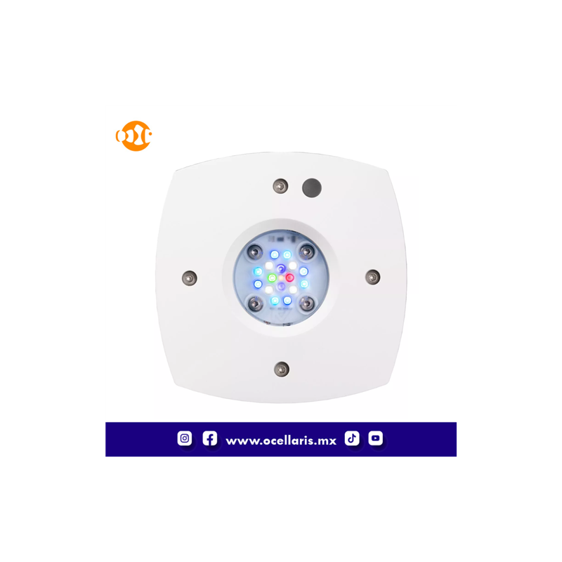AI Prime 16 HD LED - Módulo Blanco