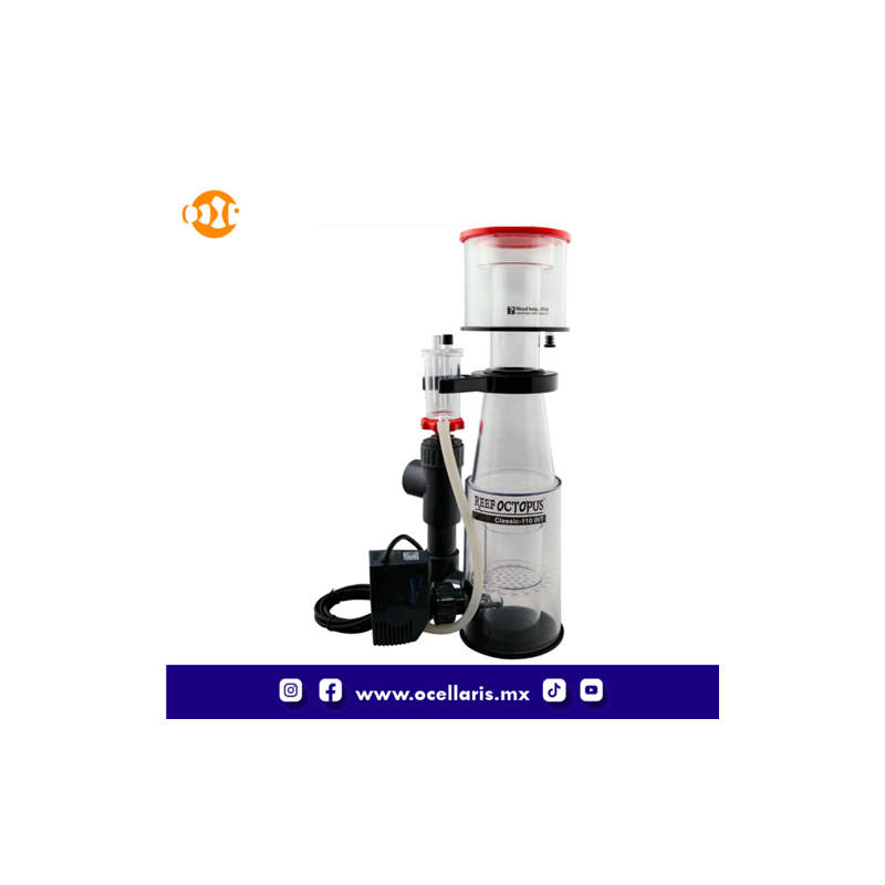 Classic 110INT - 250 a 500 L