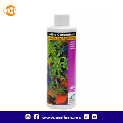 Iodine Concentrate - 250ml