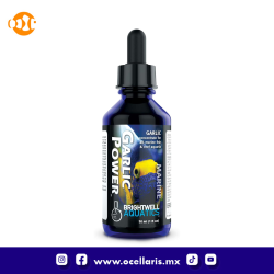 Garlic Power   -  Suplemento de Ajo  -  30ml