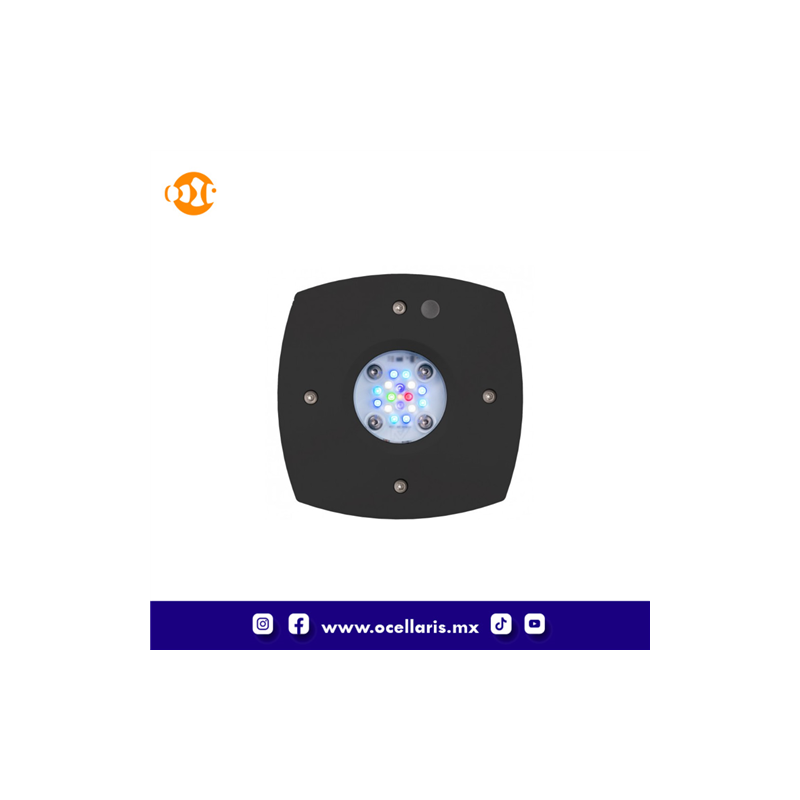 AI Prime 16 HD LED - Módulo Negro