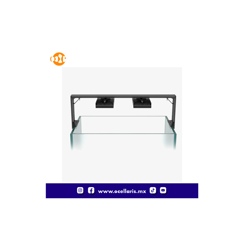 HMS Double Arm Mounting