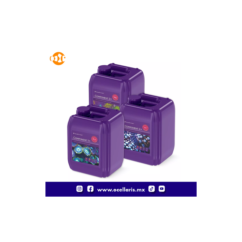 AF Component 1+, 2+, 3+ - 3 x 5 Litros