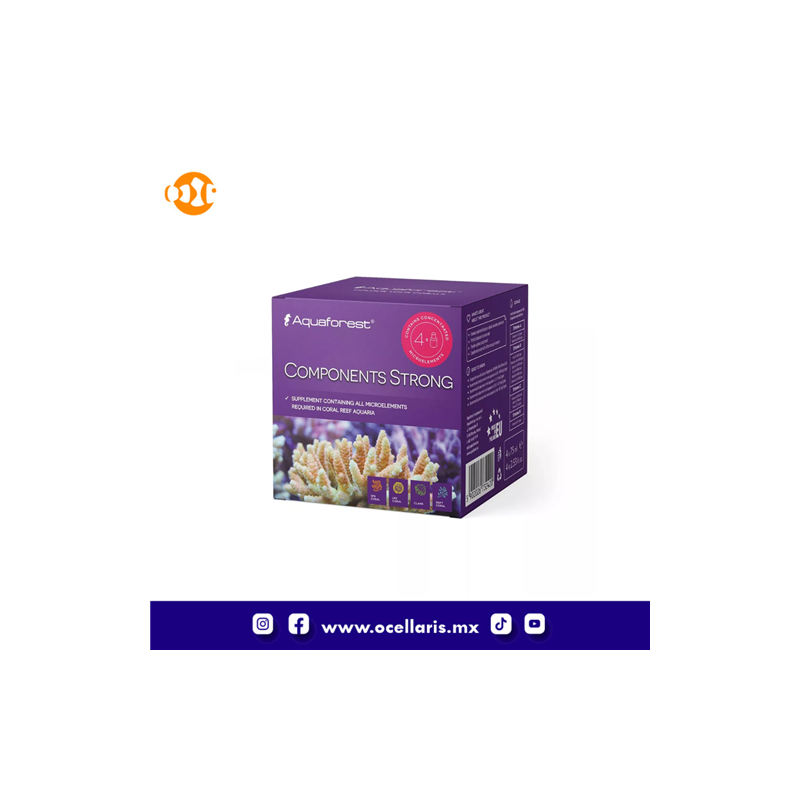 AF Components Strong - 4 piezas de 75ml
