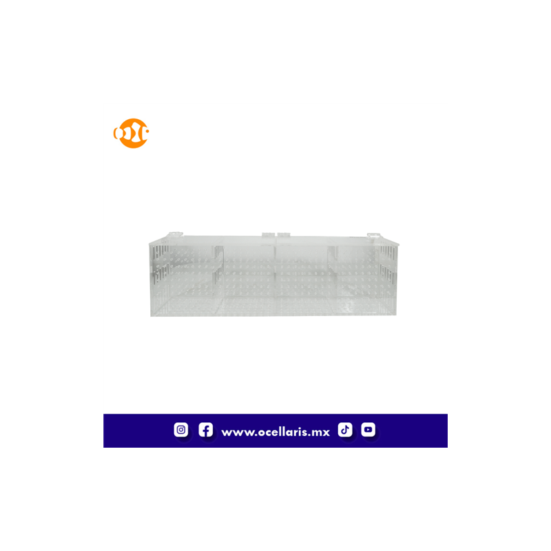 Caja de aclimatación con 4 compartimentos
